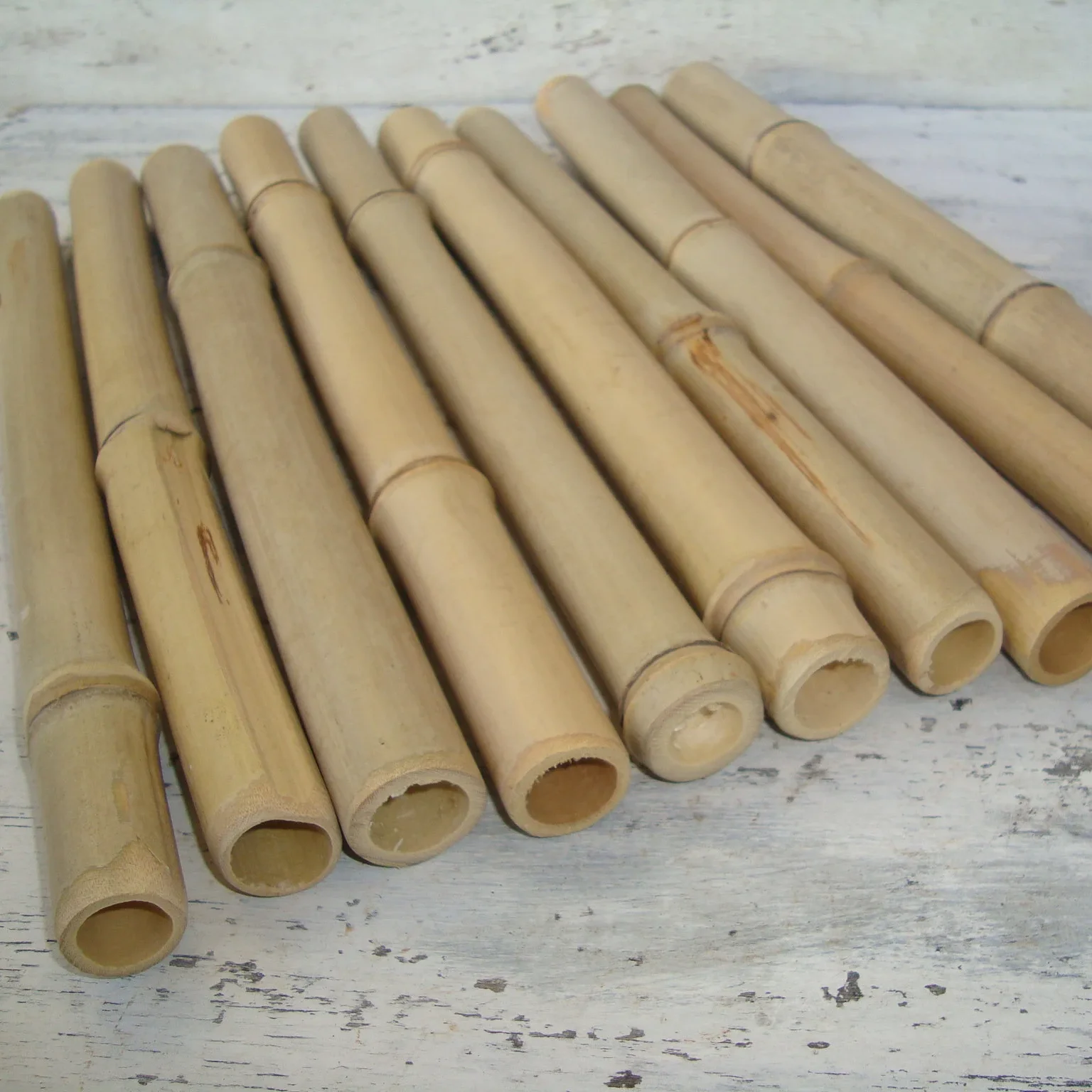 Green yellow natural dried bamboo poles for bulk export large bamboo pole stakes gardening construction buildings