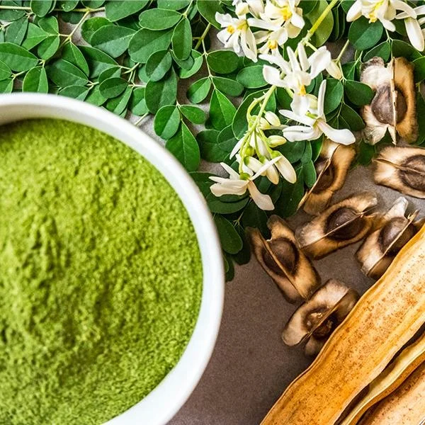 Polvo y tabletas de hoja de moringa organica de alto grado de la marca Enviro