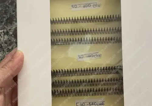 Exportting in Large Quantities Volume Wispy Eyelashes Teelash form Vietnam eyelashes supplier