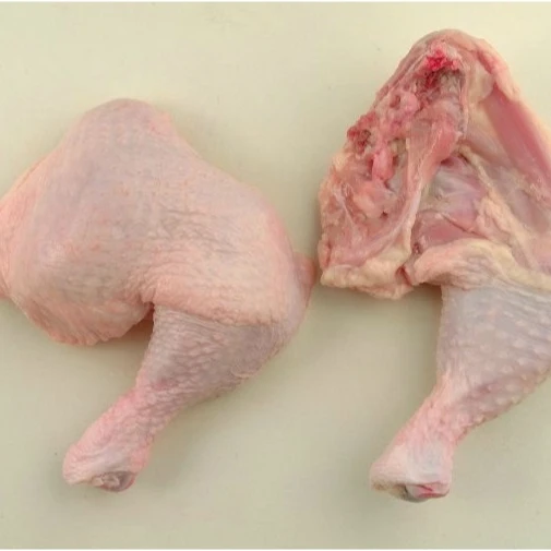 QUALITY HALAL FROZEN CHICKEN BREAST/CHICKEN LEG QUARTERS( COMPETITIVE PRICE)