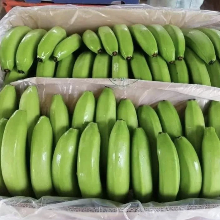 Wholesale Good Quality Competitive Price Delicious Flavour FRESH CAVENDISH BANANA From Viet Nam