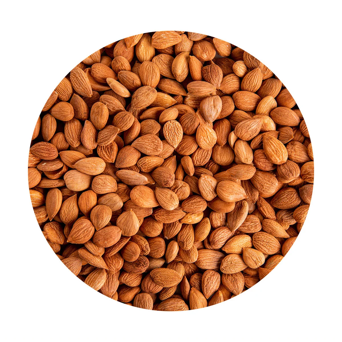 Sweet apricot kernels have a beneficial effect on the body folic acid content improves mood and improves tone