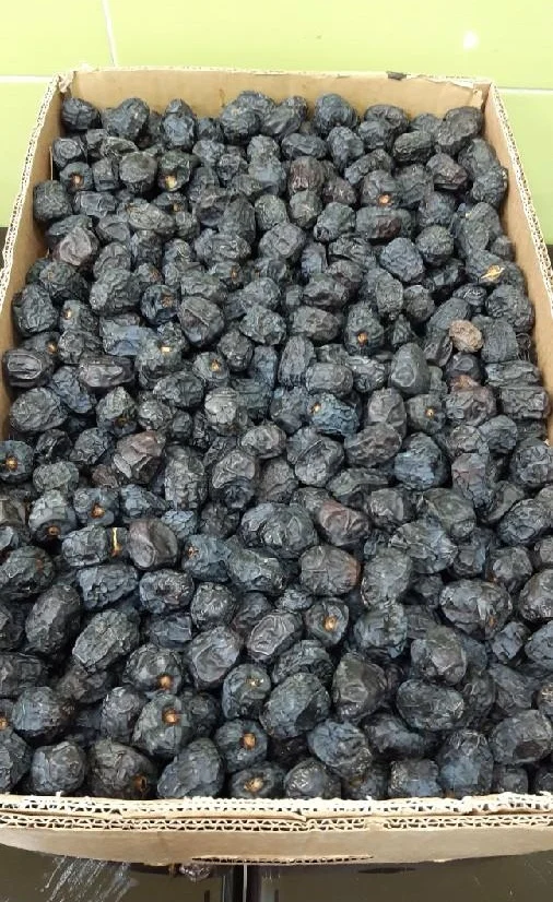 Высококачественные даты Ajwa для продажи напрямую от Allmadenah