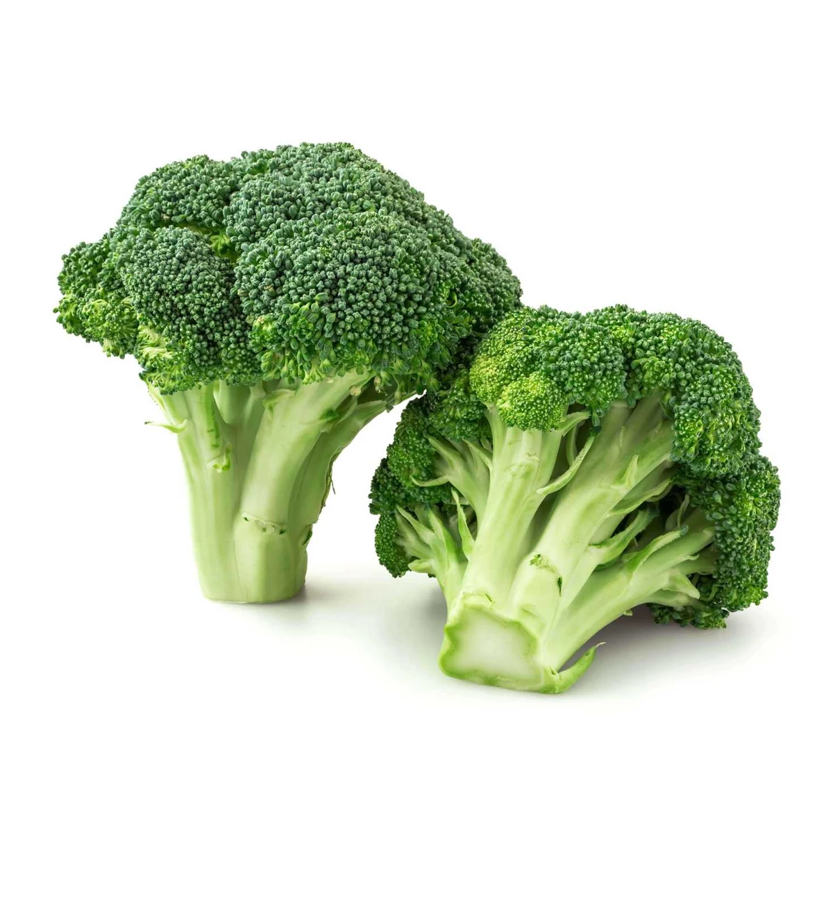 Натуральные сочные овощи без ГМО для пищевых продуктов, сезон свежих овощей из Узбекистана, свежий брокколи для пищевых продуктов