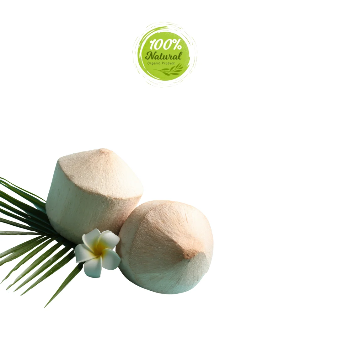 The History of Diamond Peeled Coconut in Vietnam