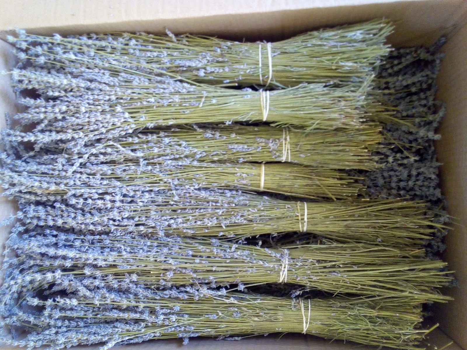 100% Natural Aromatherapy Lavender Smudge Sticks Bundle Evil Eye Energy Ritual Calming Home Cleansing Salts Herbal