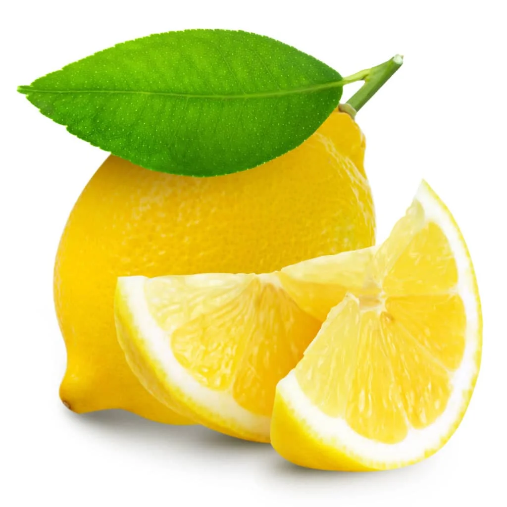 Fresh Lemon Fruits Top Sales Natural Citrus from Egypt Best quality wholesale Lemon Citrus Premium Quality Lemon for sale