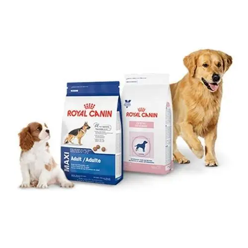 Hot Sale Quality Royal Canin Pet Foods