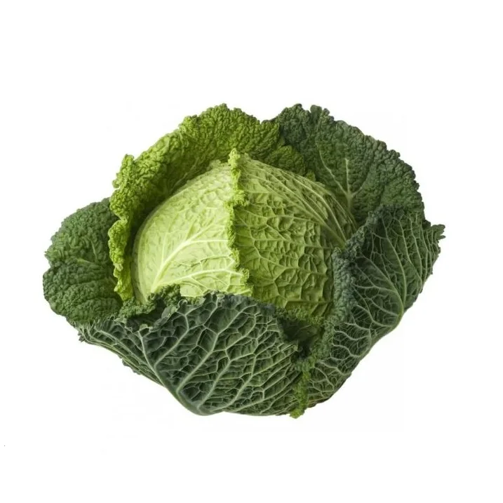 Round Shape Organic Cabbage Style Piece Weight Origin Type Variety Product Fresh Place Model Cultivation From Bangladesh