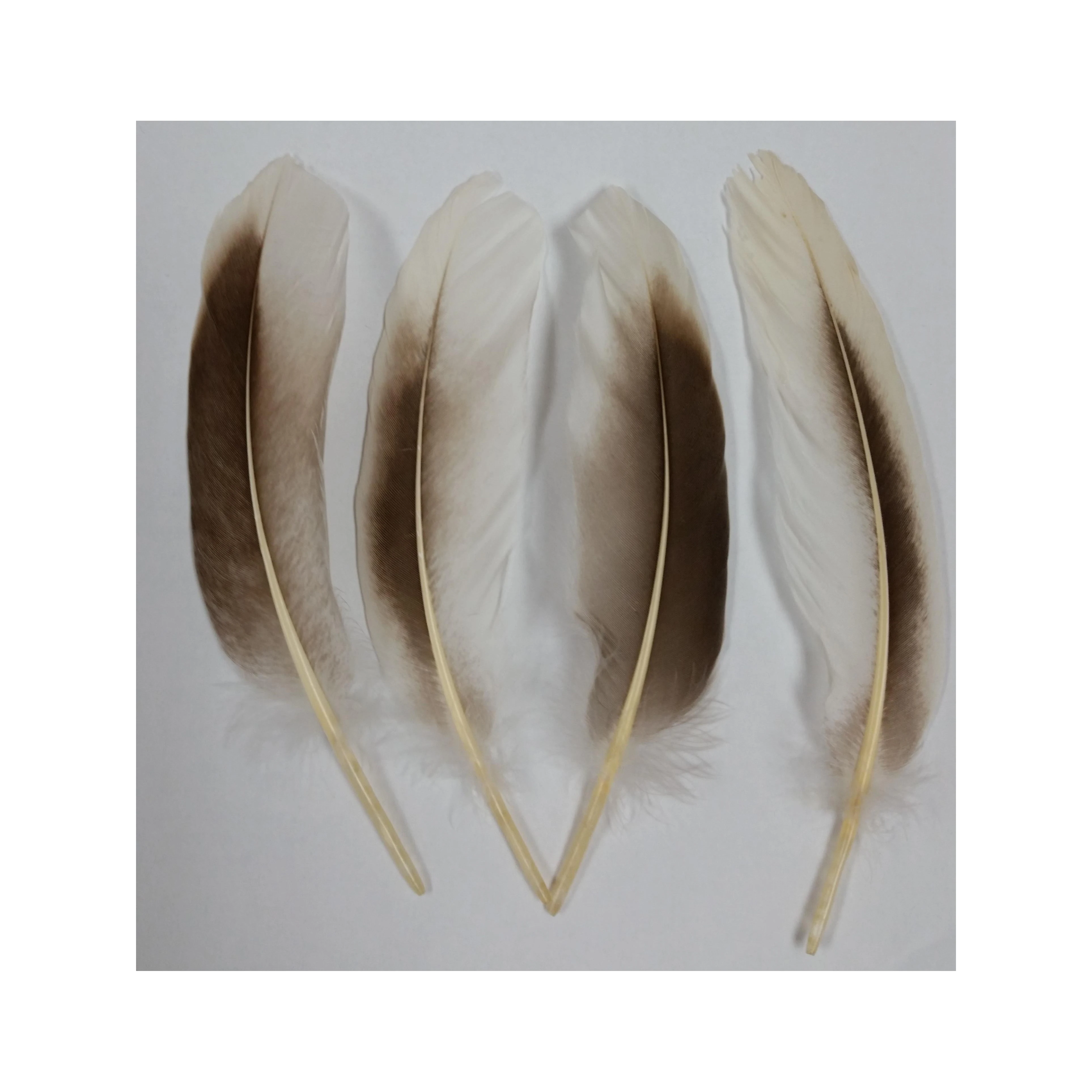 Оптовая Продажа Красочные натуральные перья Радуга 4-6 дюймов Cochettes гусиные