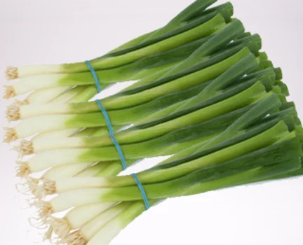 fresh green onions