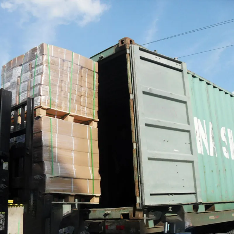 Cassia Tora Juemingzi Extract Cassia Seed P.E. Obtuseleaf Senna Seed CatsiatoraLinn