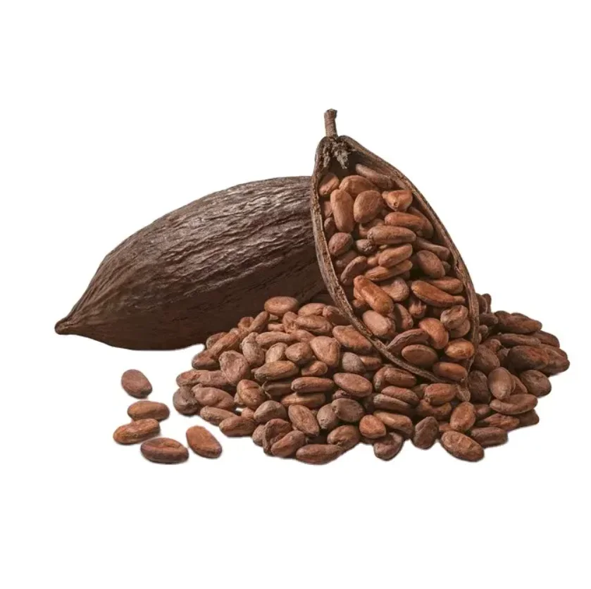 100% Cacao Beans seeds and Cocoa premium quality Natural cocoa West Africa cocoa beans wholesale suppliers