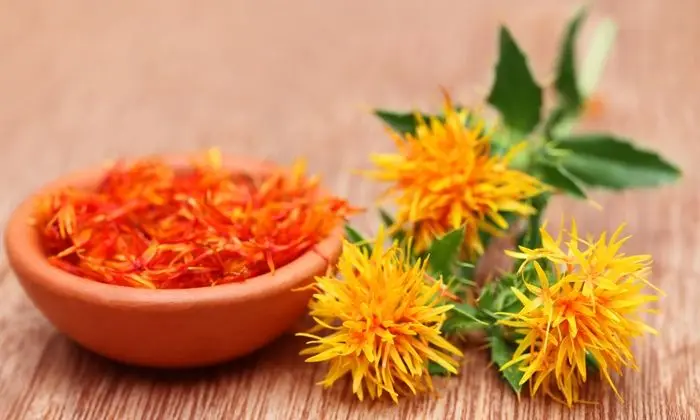 Safflower Natural Color India Red Piece of Saffron Good Quality Saffron Single Herbs