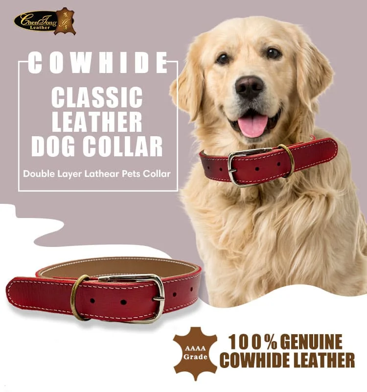 Dog Collar T17 N3L01
