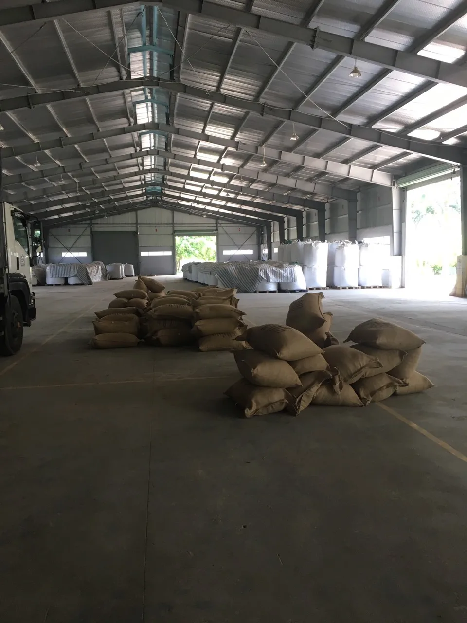 High Quality Vietnamese Specialty Arabica Green Coffee Beans Bagged Specialty Coffee for International Delivery