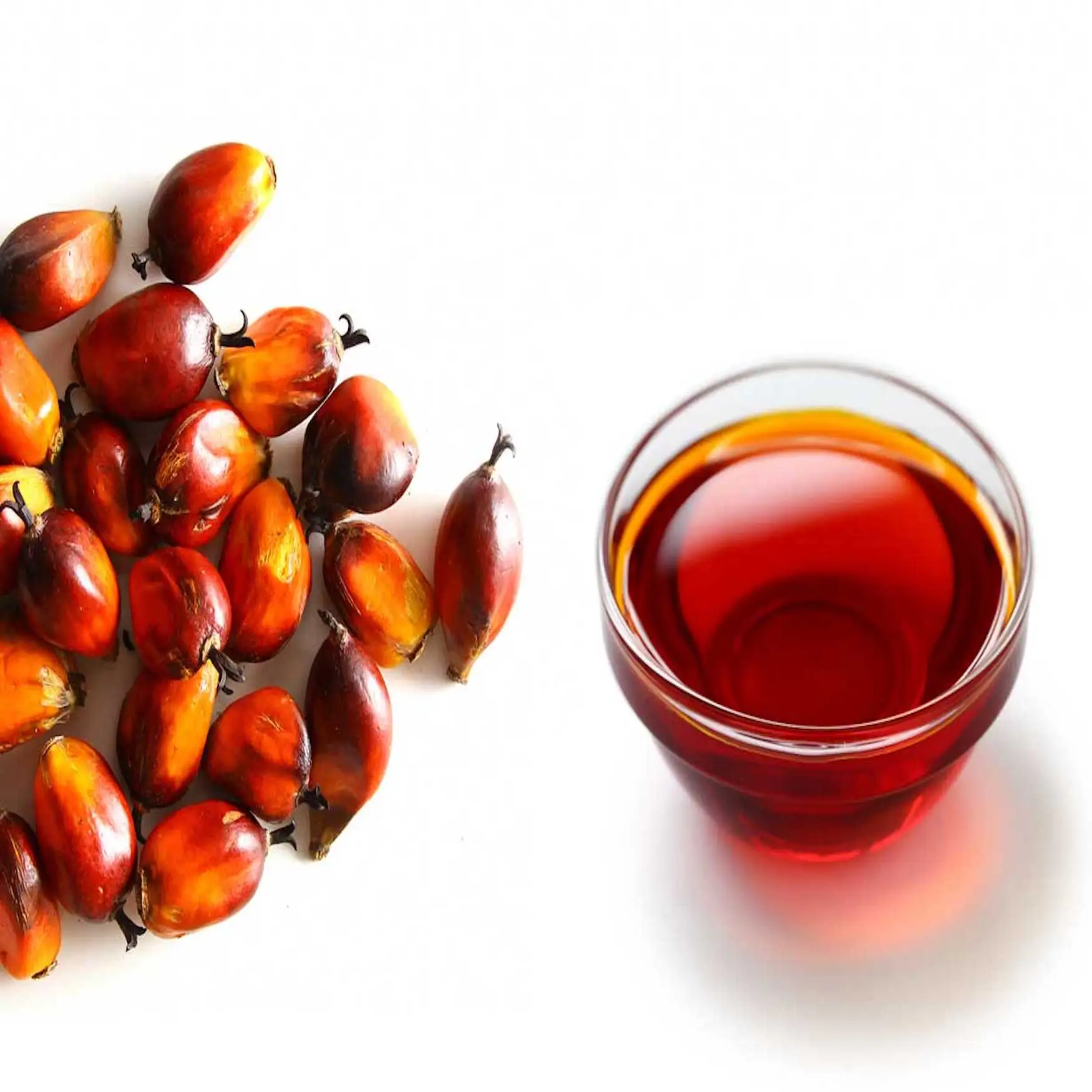palmoil01.jpg