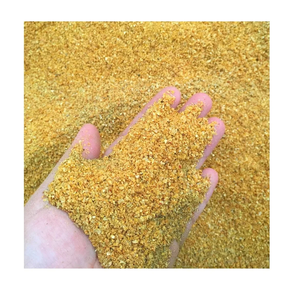 Wholesale Animal Feed Supplier corn non-gmo DDGS