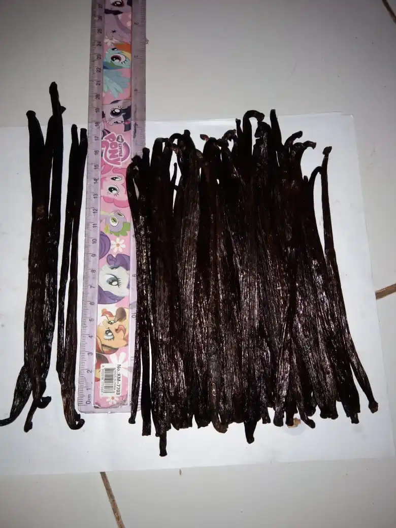 Vanilla tahiti or planifolia Grade 1