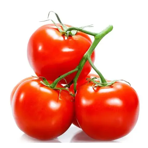 Wholesale Natural Vegetables Fresh Natural Cooked Tomatoes Hot selling top Fresh Cherry 100 % organic Matured Quality Tomato, Fr