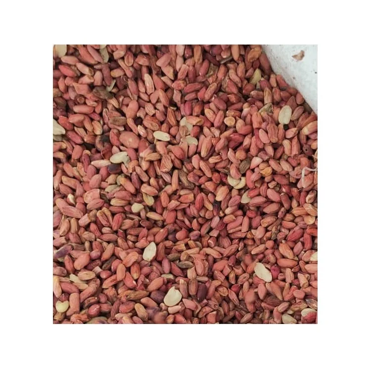 Wholesale Natural Organic First Grade Pealed Peanut Kernels For Processing Into Oil Laser Sorting Peanuts Nuts & Kernels