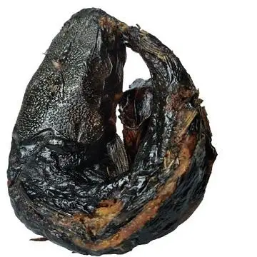 Smoked Dried Catfish for sale