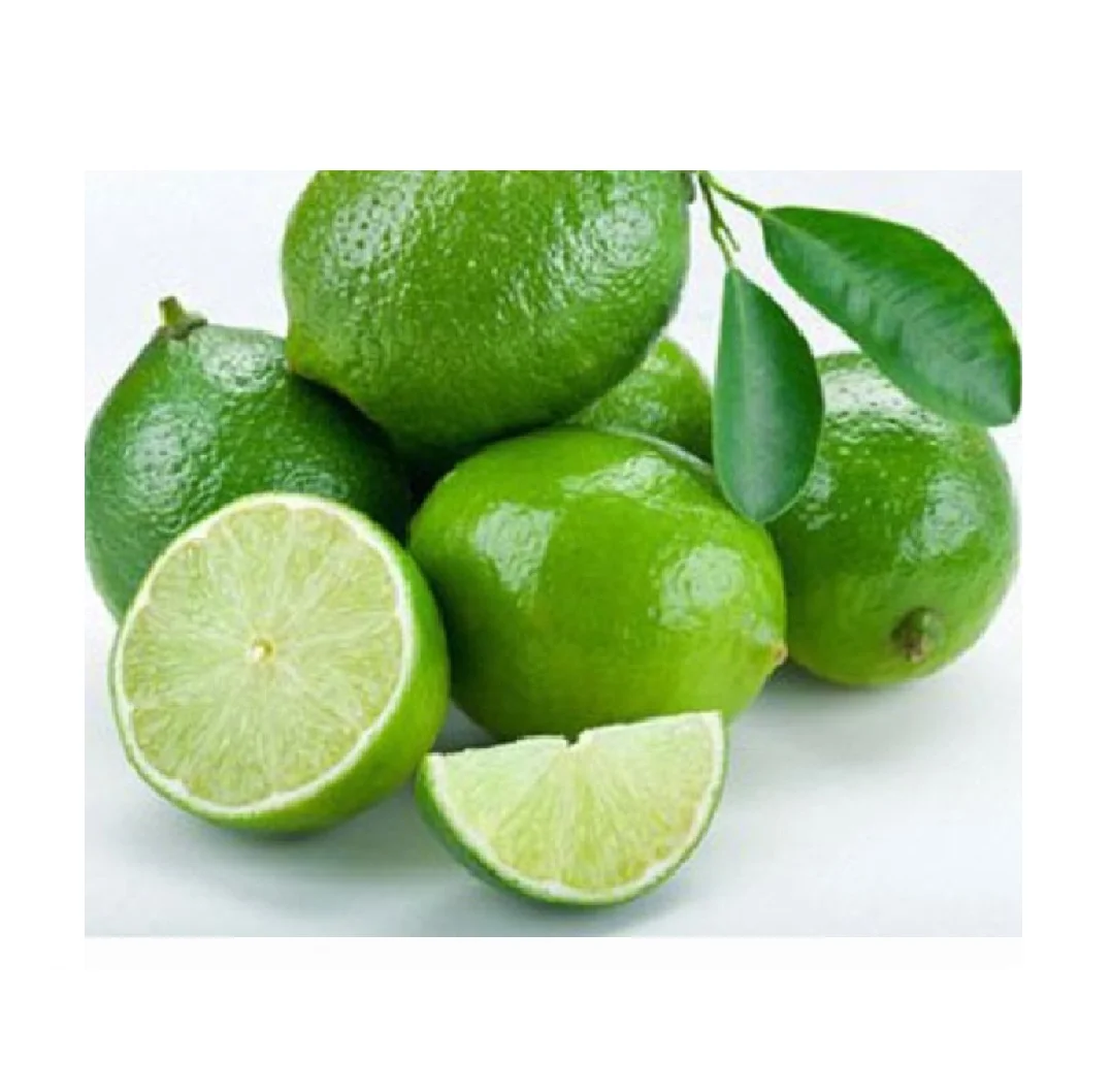 Fresh Fruit Seedless Maturity Natural Good Quality Big Sour Taste Size 5cm 12 Months Shell Life Full Vitamin C Green Lemon Lime