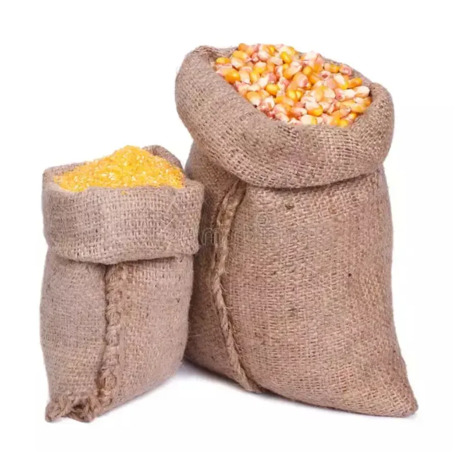 High Quality Yellow Corn/ White Corn/ Maize for Sale