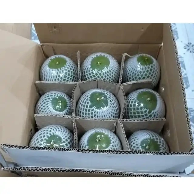 Hot Sale New Arrival Pomelo Fresh Honey Pomelo Grapefruit Vietnamese White And Red Pomelo Fruit