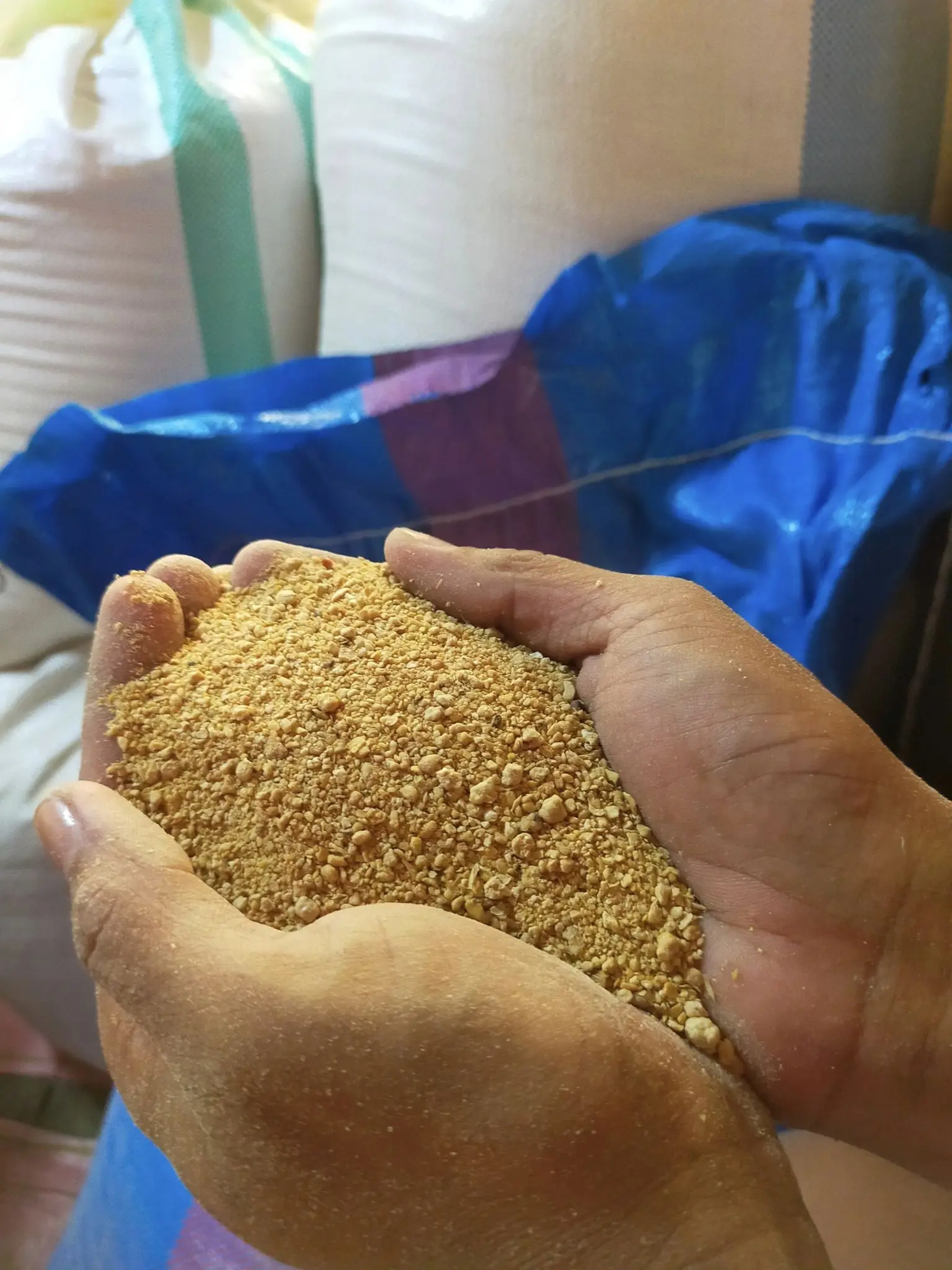 High Quality Feed Blood Meal for Animal Nutrition Feed At Low Price For sale/Blood Meal Animal Feed