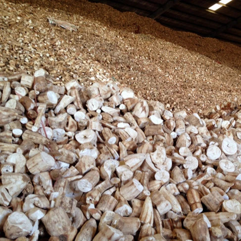 Best Quality Cheap Price Feeding Sliced Cassava from Vietnam
