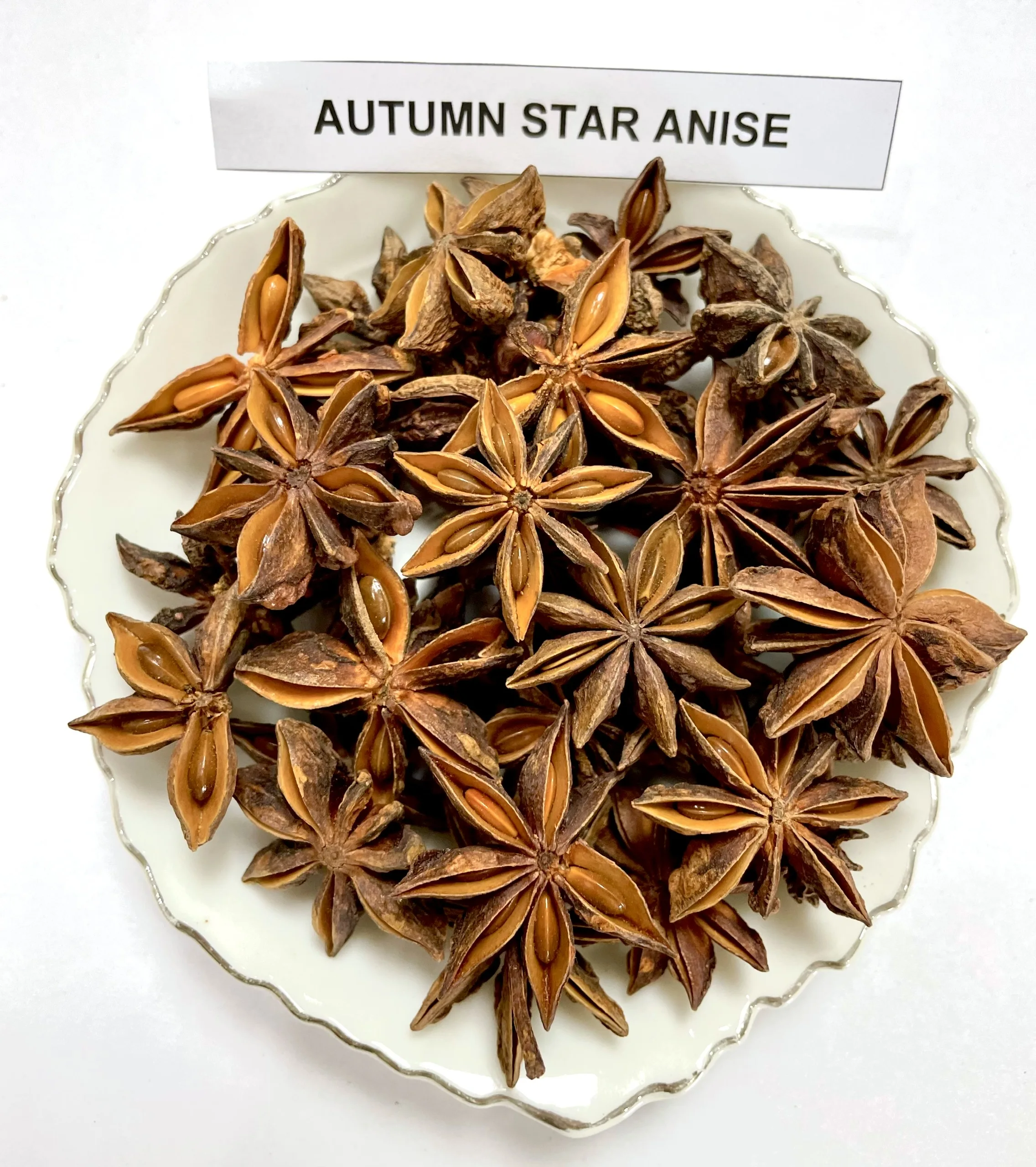 New Crop Vietnam Star Anise Autumn and Spring at Good Prices Spices And Herbs For Food Ingredients