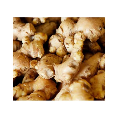 Новый Урожай свежего имбиря в хорошем вкусе, поставка желтого стиля, временной органический зазор, большой новейший вес, Вьетнам