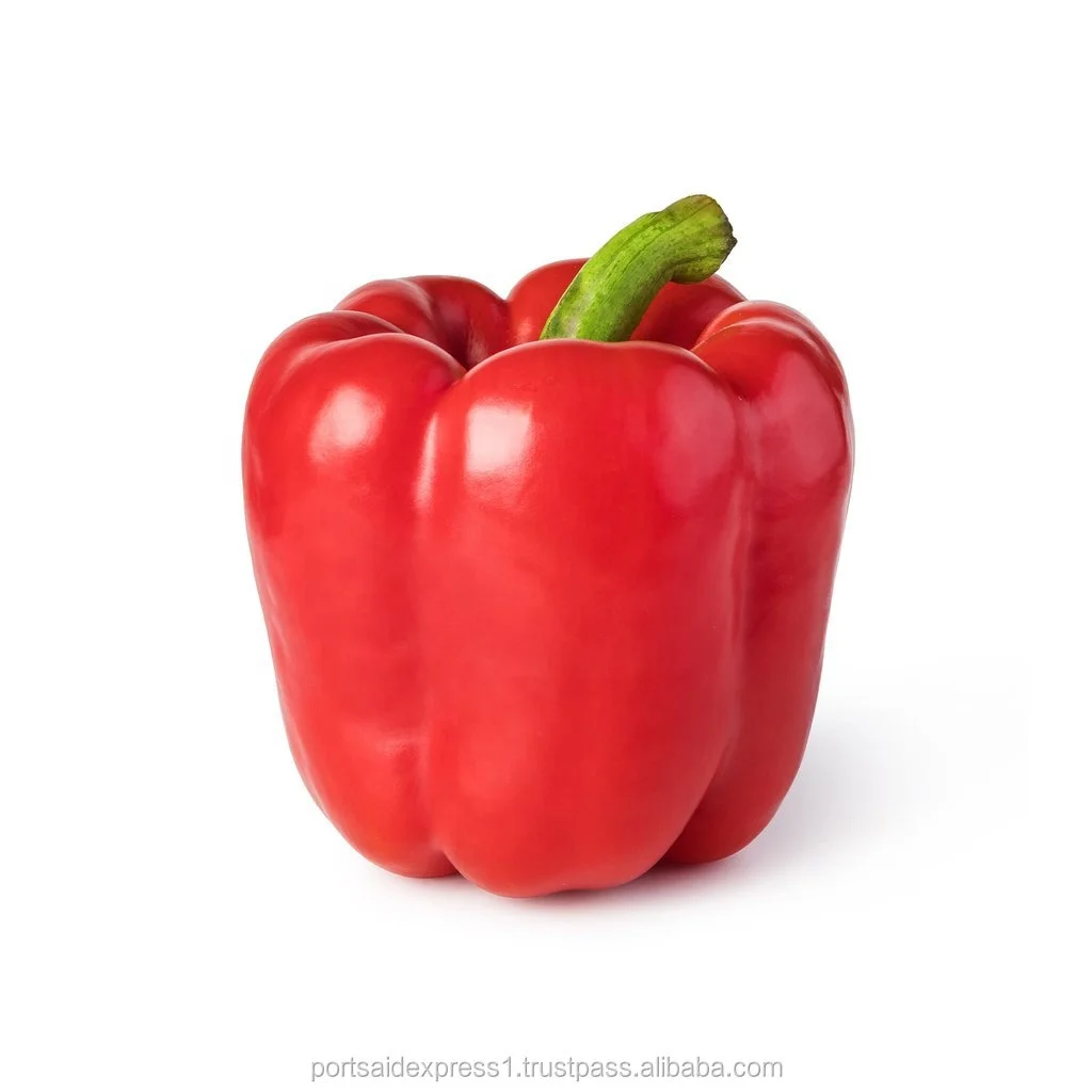 FRESH CAPSICUM Organic Sweet Bell Pepper Yellow Green Red Pepper