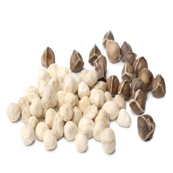 Wholesale Price  Quality Moringa Oleifera Seeds In Bulk Quantity