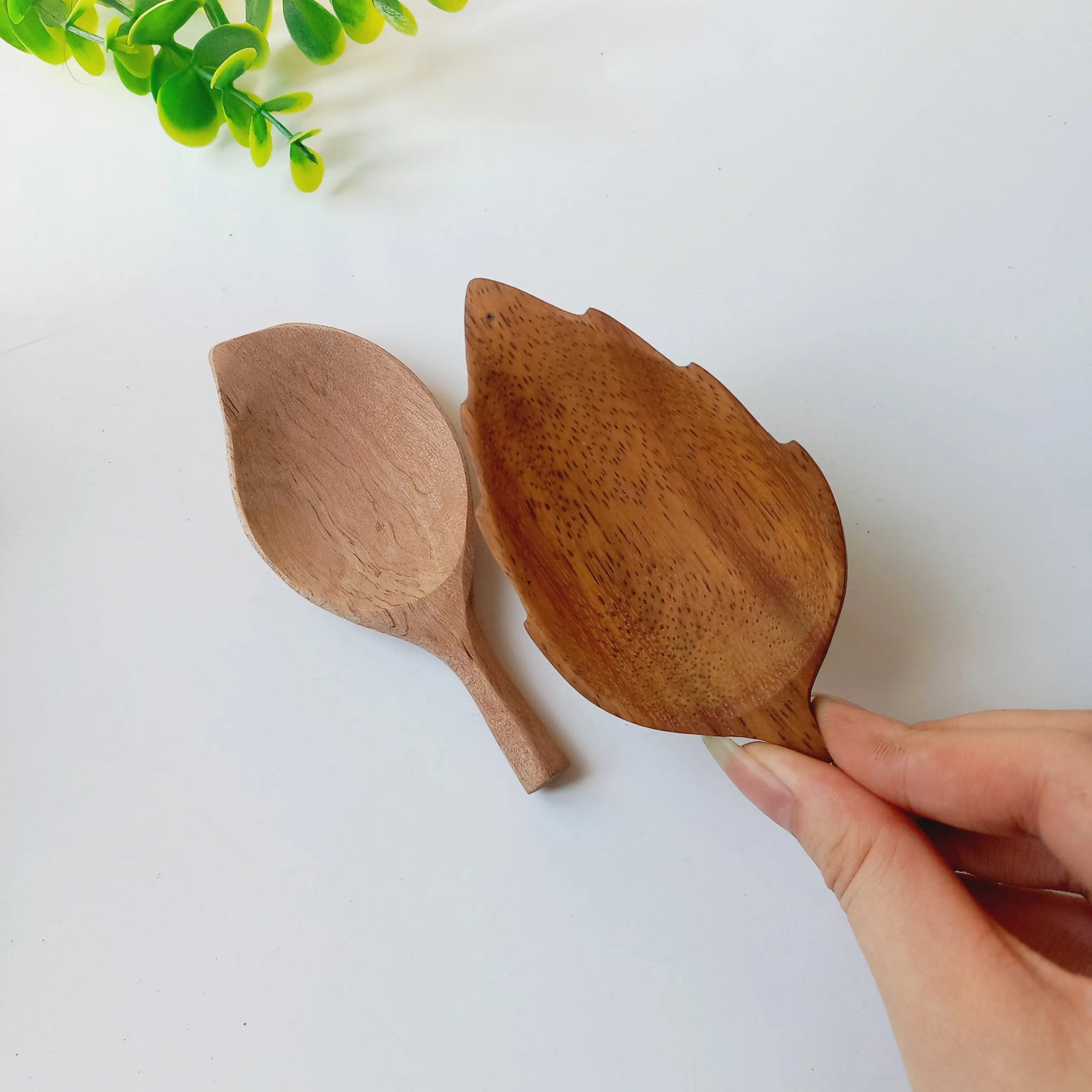 Wooden Leaf Shape Small Mini Spice Plate Dish Tray Service Dessert Creative Unique Wholesale Classic Made In Vietnam Vitrapro