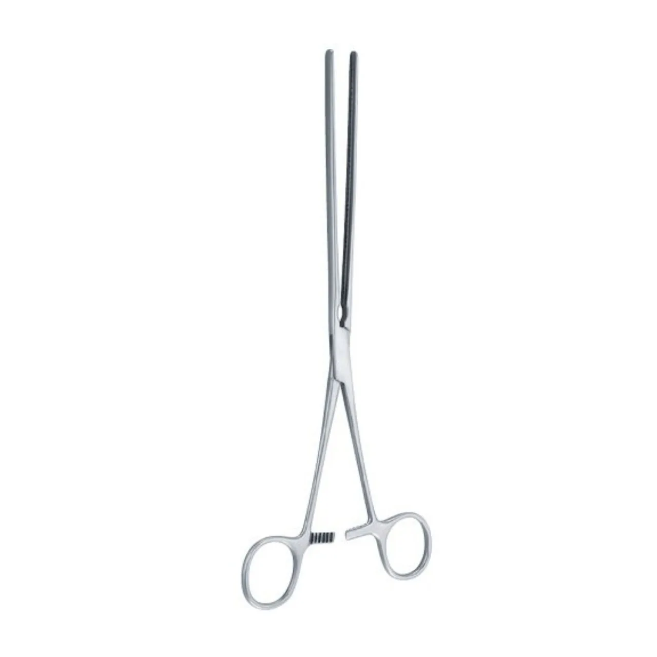 Kocher Intestinal Clamps Stomach Clamps Forceps 22cm Straight Jaw Stainless Steel Surgery Care Instruments Medical Tools