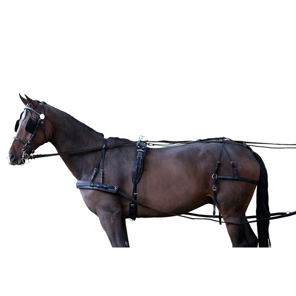 Hot Sale Horse Halter With Lead Rope High Quality Equestrian Equine Equipment Professional Customize Horse Harness Set