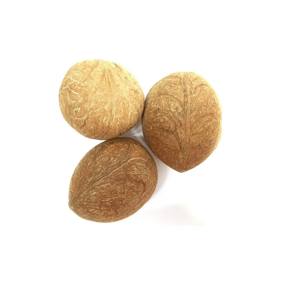 Best Quality Copra Ball Dry Fruit For Eating At Wholesale Price