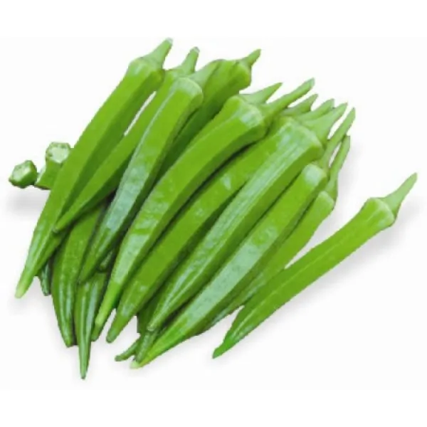 Свежие зеленые OKRA/Сушеные Семена OKRA зеленые OKRO