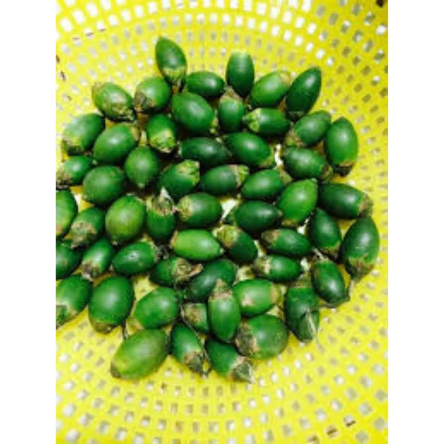 Бесплатный образец! Замороженные фрукты Areca/молодая Пальмовая гайка в вакуумном пакете с высоким качеством и лучшей ценой из Вьетнама в 2022 году