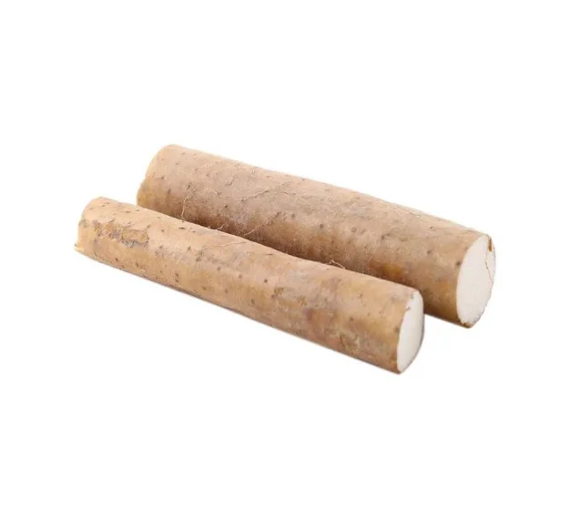 Natural High-Quality Fresh Burdock wholesale best price