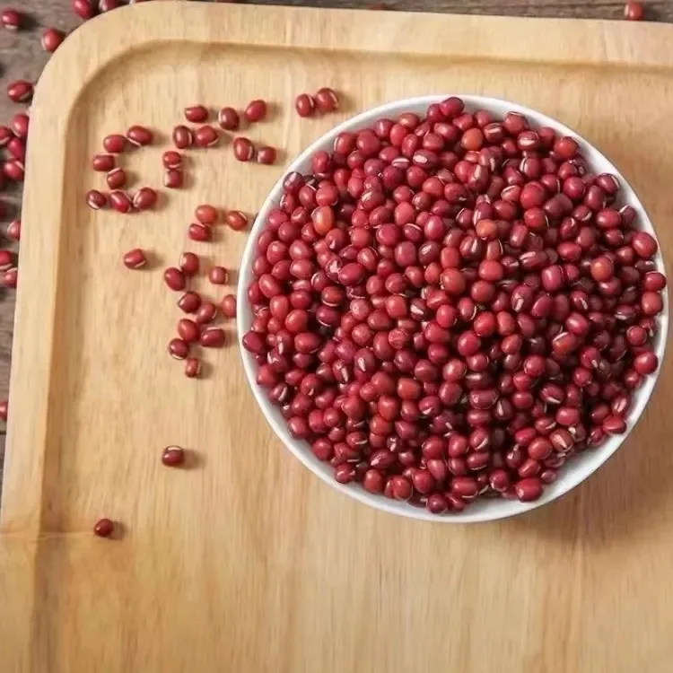 Hot Sale Competitive Mung Bean