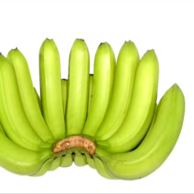 Cavendish Banana -Tropical BANANE Style Cavendish customized - Natural Green Bananas