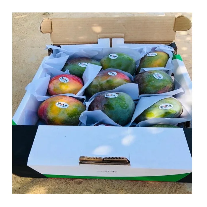 Fresh Mango Fruit Ready To Export Chaunsa / Sindhri Mangoes from Thailand