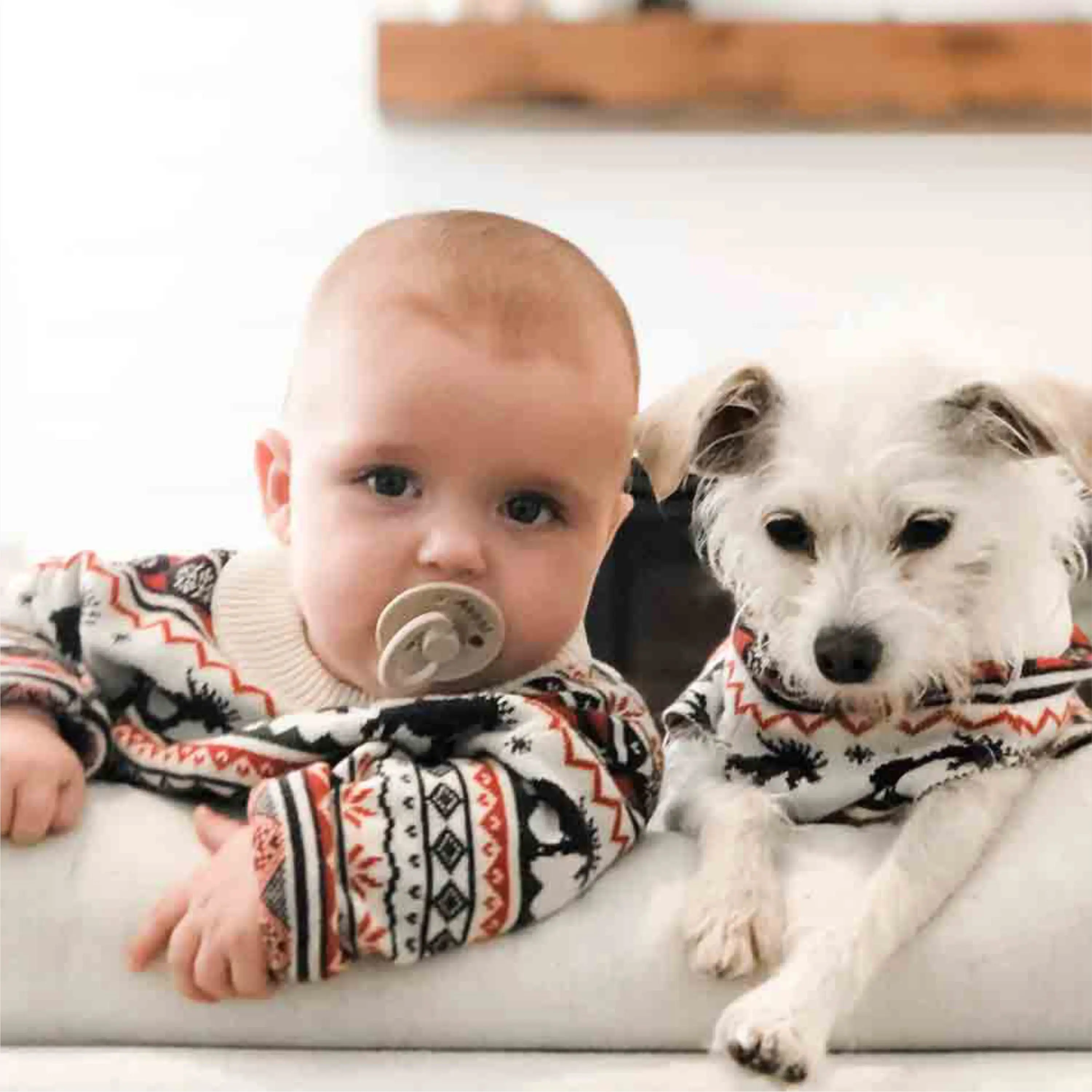 Comfortable and Stylish Rugby Sweatshirt Customizable with Logos Ideal for Team Sports and Casual Wear Available in All Sizes