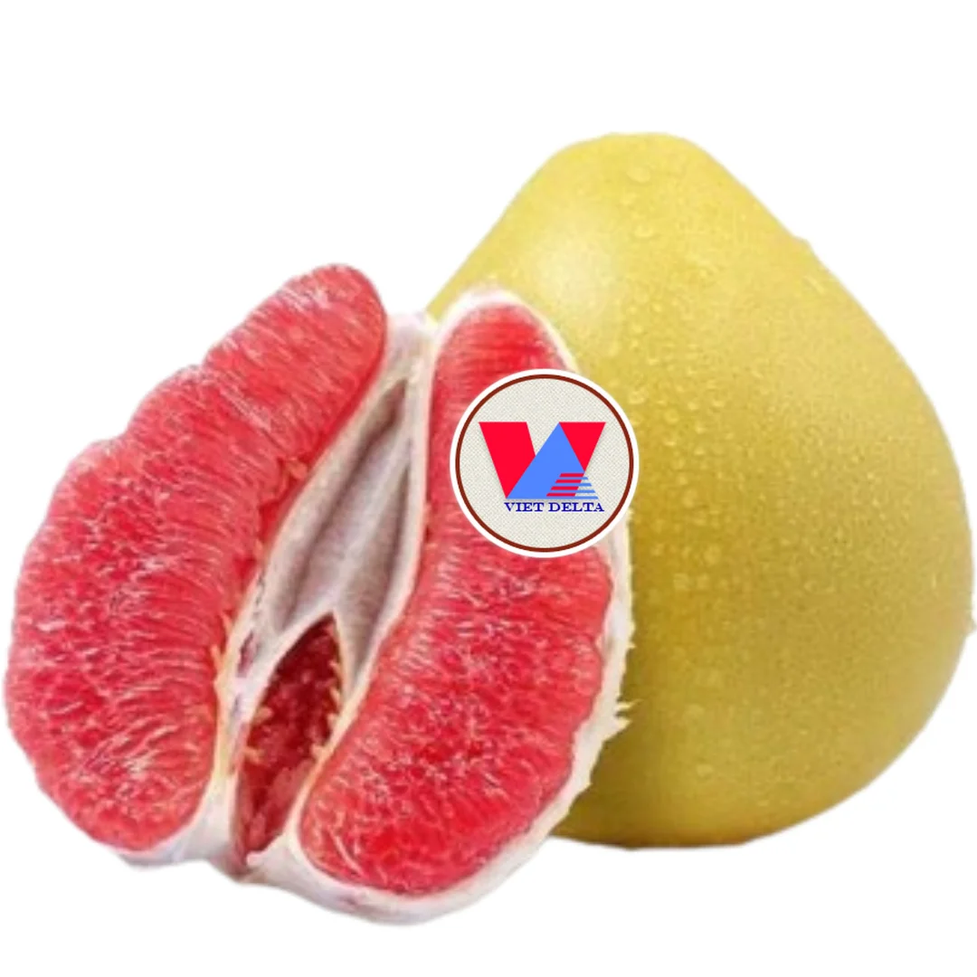 TOP TRENDING 2024 EXPORTING HIGH QUALITY VIETNAMESE ORIGINAL POMELO FRUITS AT COMPETITIVE PRICES CONTAINING MANY NUTRIENTS