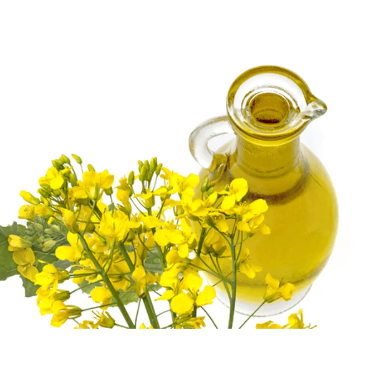 Wholesale Quantity Exporter of 100% Pure Refined Edible Rapeseed Oil/Canola Oil in Bulk Packaging for Sale