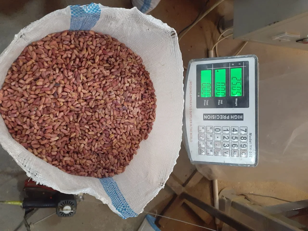 Wholesale Natural Organic First Grade Pealed Peanut Kernels For Processing Into Oil Laser Sorting Peanuts Nuts & Kernels