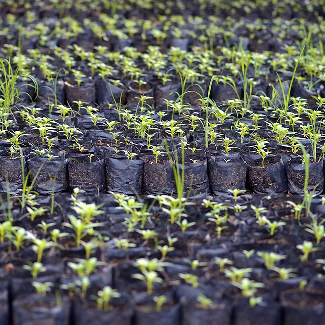 COIR PEAT - COCO 5KG BLOCKS MEDIUM WASHED